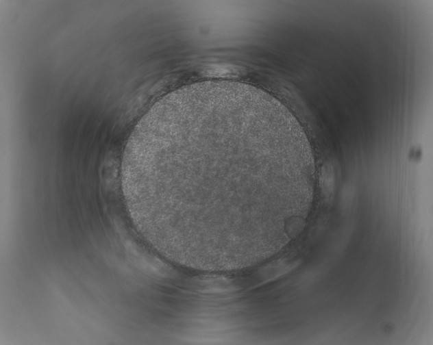 X0000110960322200907311112