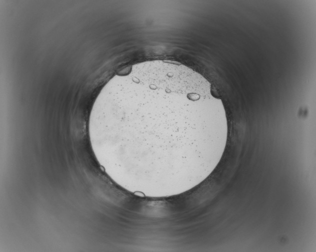 X0000110960324200907311112