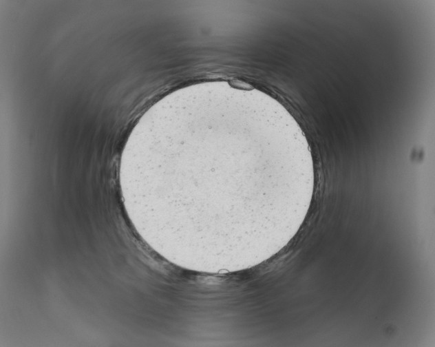 X0000110960325200907311112
