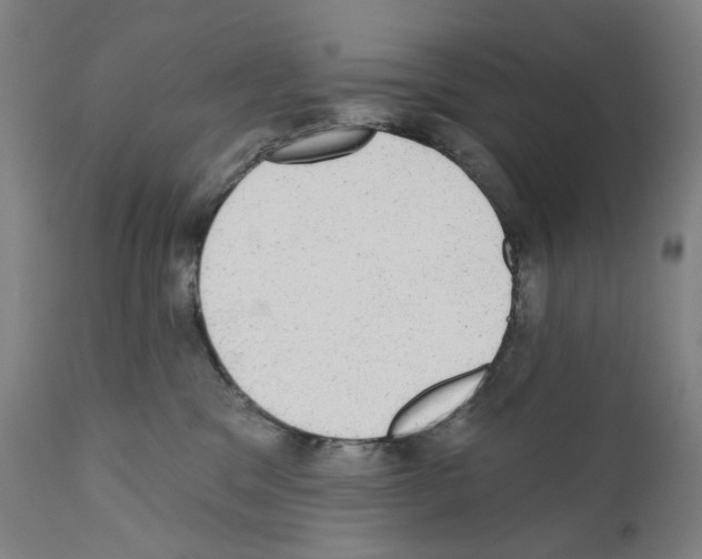 X0000110960329200907311112