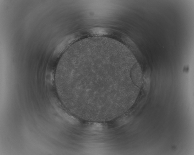 X0000110960330200907311112