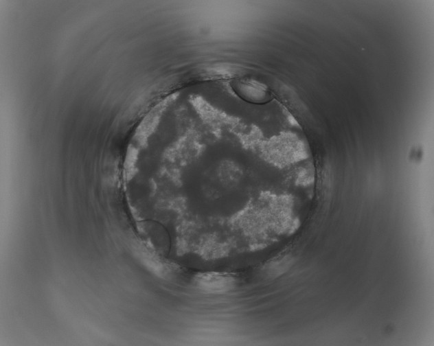 X0000110960331200907311112