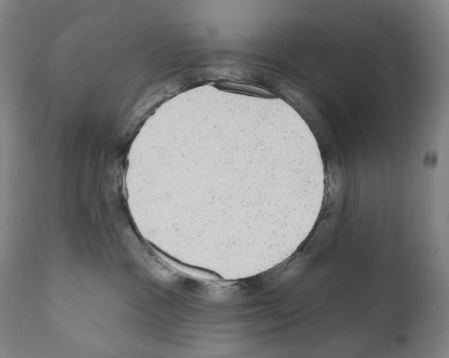X0000110960333200907311112