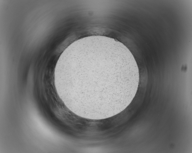 X0000110960334200907311112
