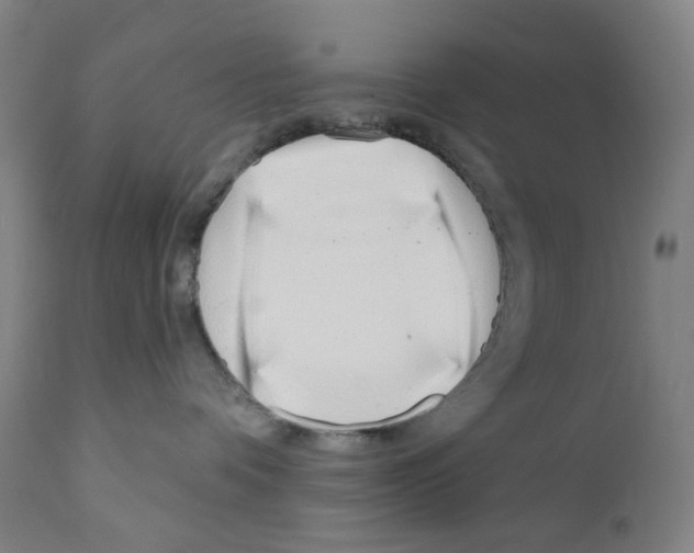 X0000110960336200907311112