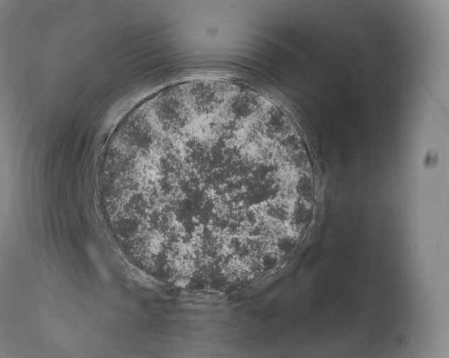 X0000110960337200907311111