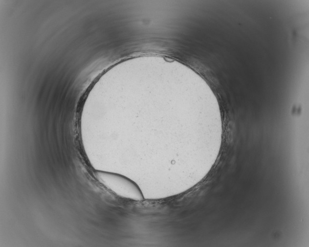 X0000110960338200907311111