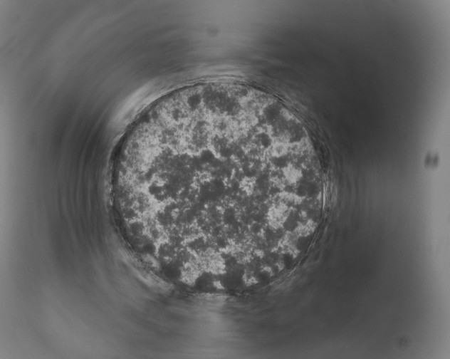 X0000110960339200907311111