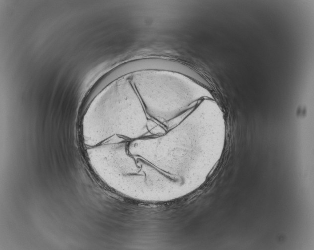 X0000110960340200907311111