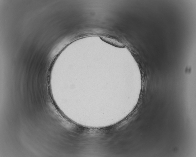 X0000110960341200907311111