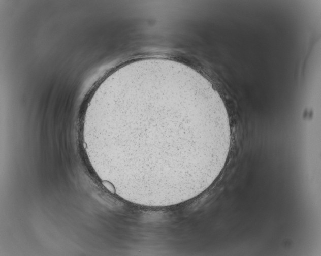 X0000110960342200907311111