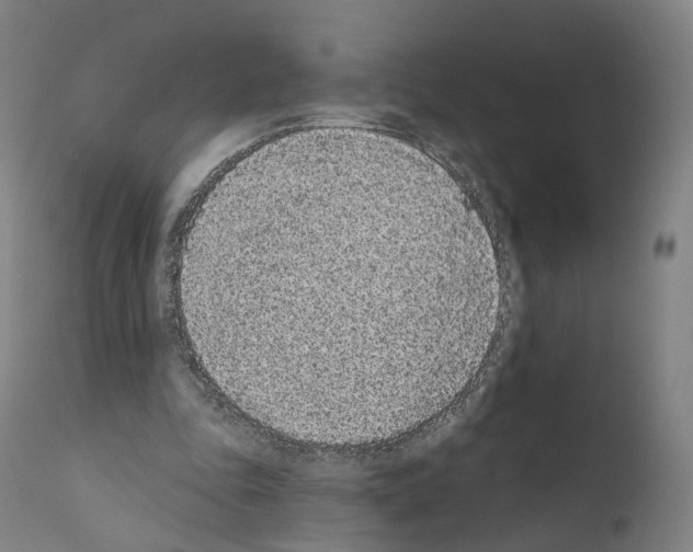 X0000110960343200907311111