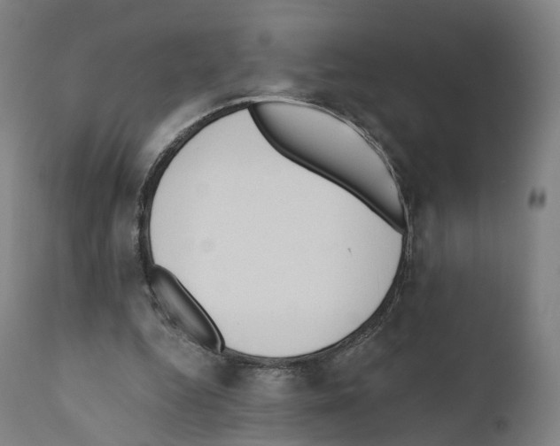 X0000110960344200907311111