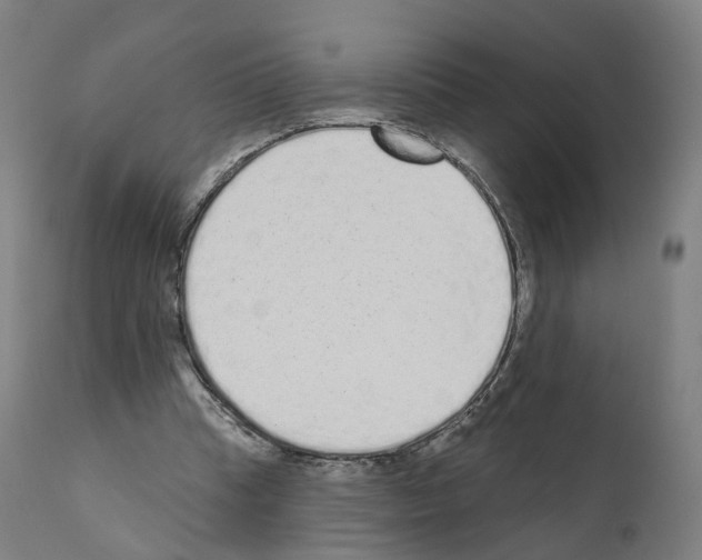 X0000110960345200907311111