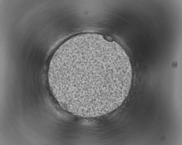 X0000110960346200907311111