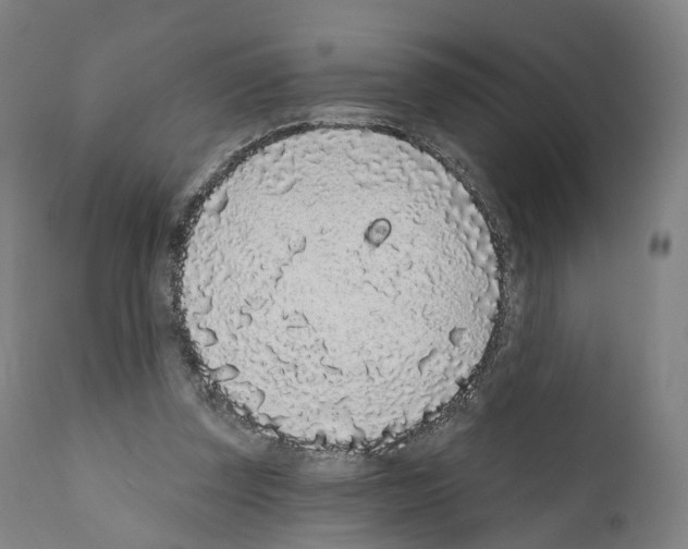 X0000110960347200907311111