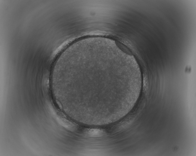 X0000110960348200907311111