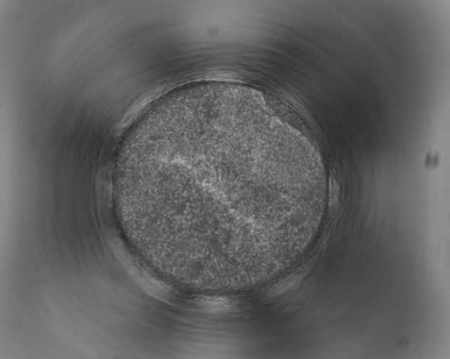 X0000110960349200907311111