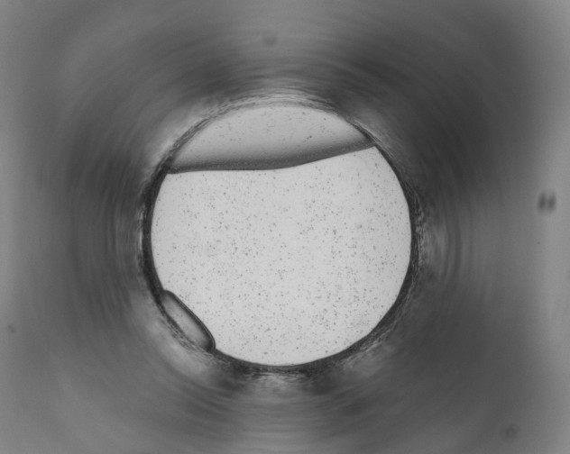 X0000110960350200907311111