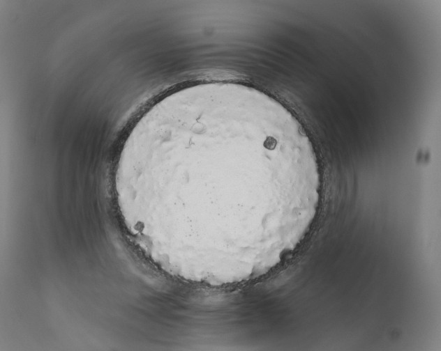 X0000110960351200907311111
