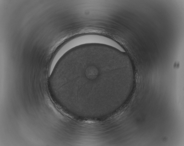 X0000110960352200907311111