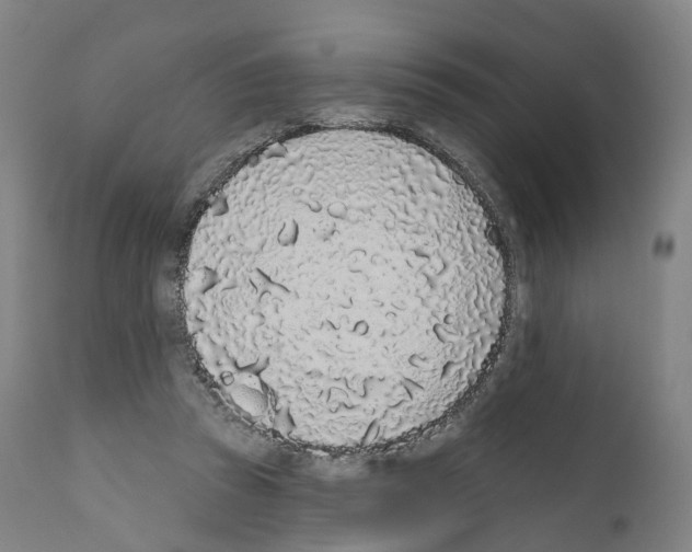 X0000110960353200907311111