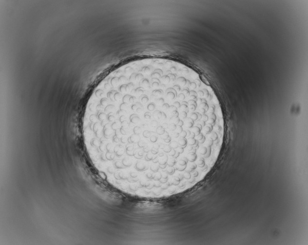 X0000110960354200907311111