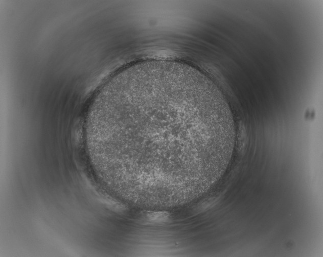 X0000110960355200907311111