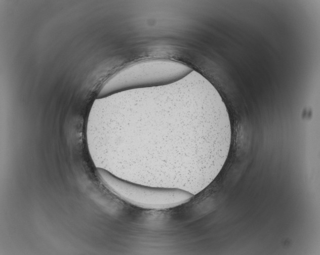 X0000110960356200907311111