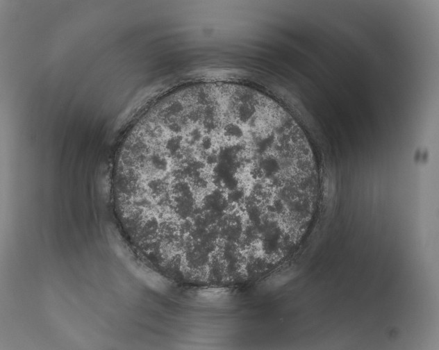 X0000110960357200907311111