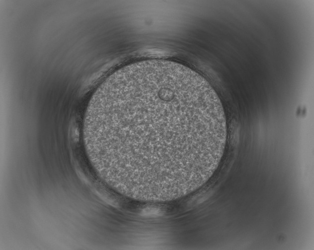 X0000110960358200907311111