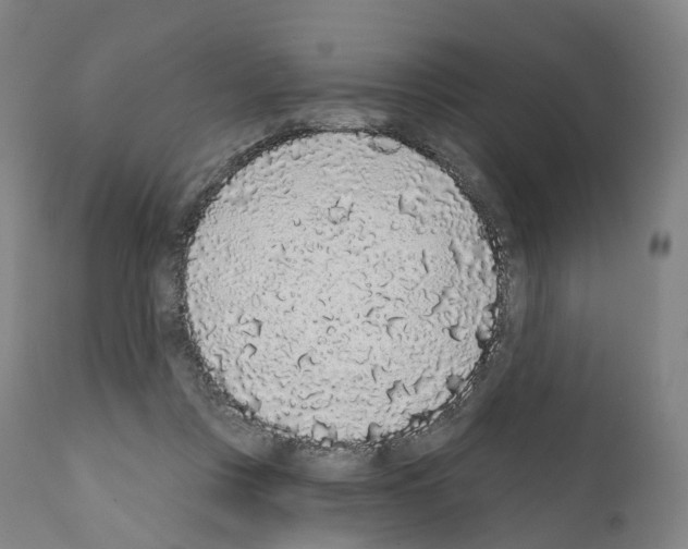 X0000110960359200907311111