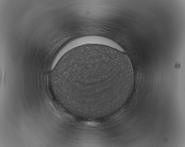X0000110960360200907311111