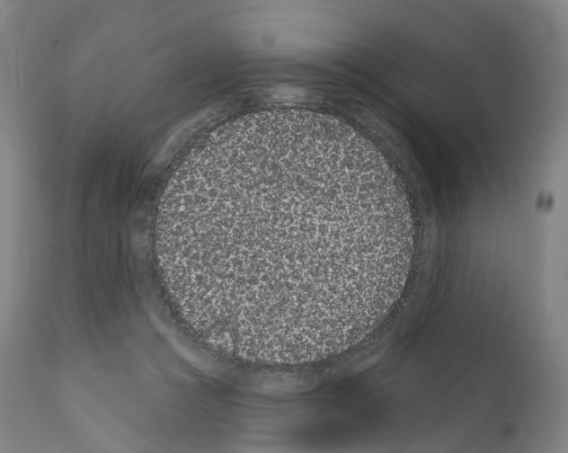 X0000110960361200907311111