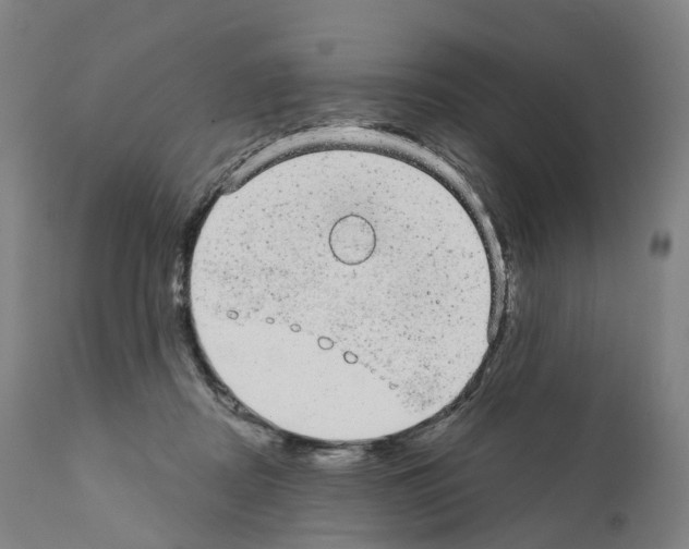 X0000110960362200907311111