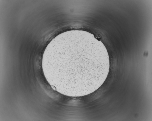 X0000110960364200907311112