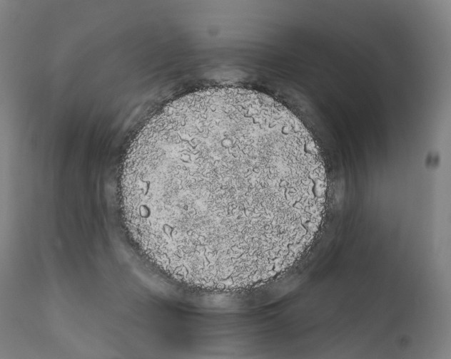 X0000110960365200907311112