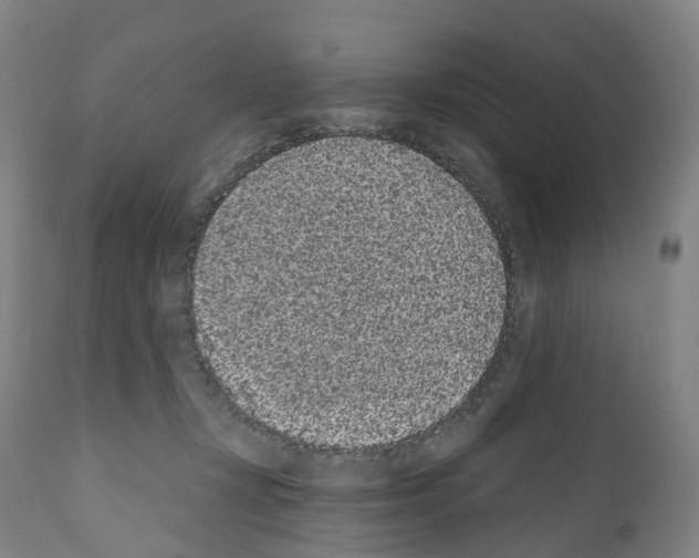 X0000110960367200907311112