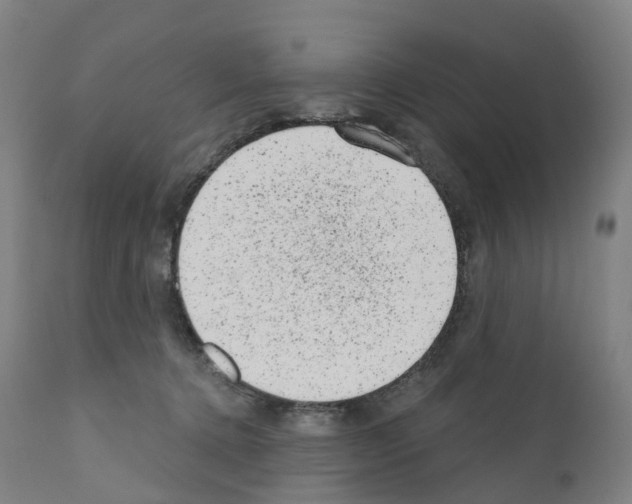 X0000110960368200907311112