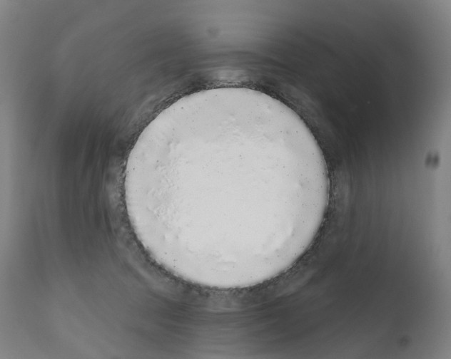 X0000110960369200907311112