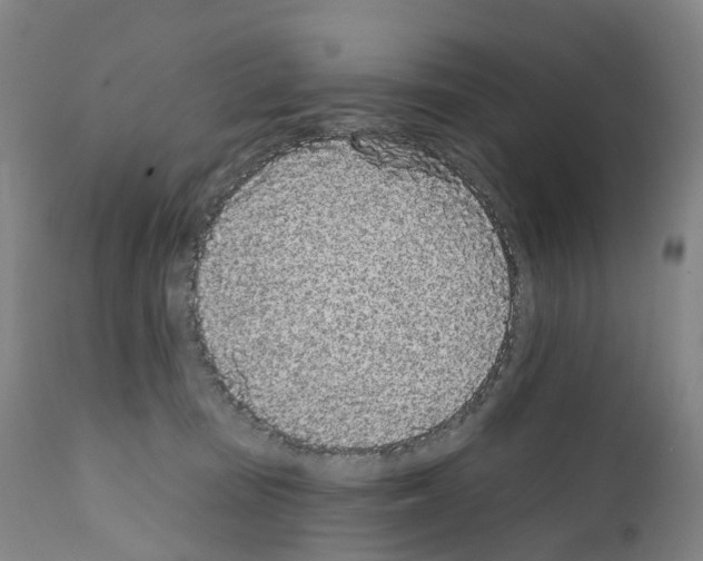 X0000110960371200907311112