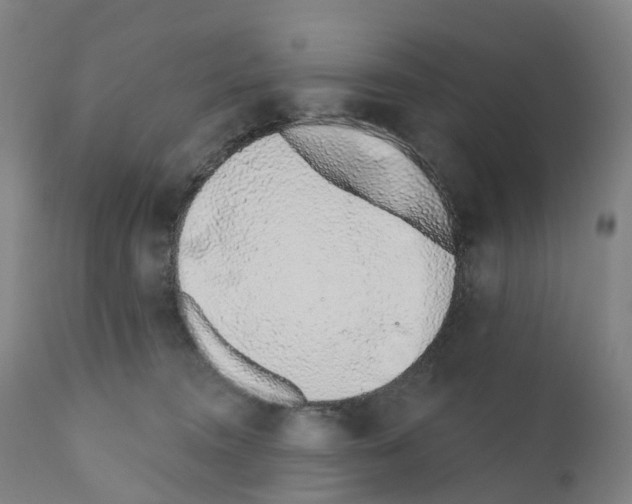 X0000110960372200907311112