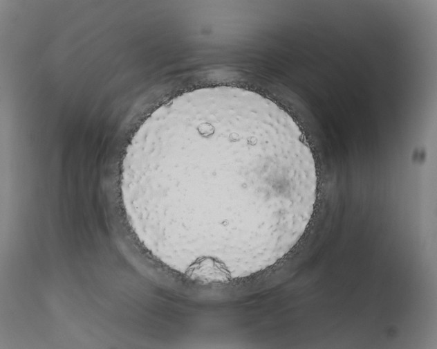 X0000110960373200907311112