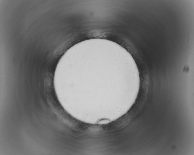 X0000110960374200907311112