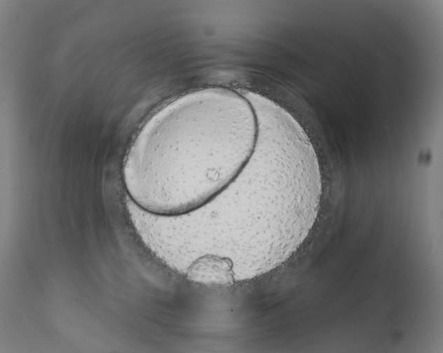 X0000110960375200907311112