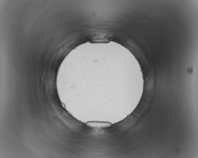 X0000110960376200907311112