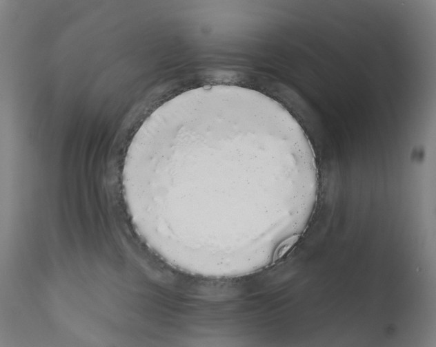 X0000110960377200907311112