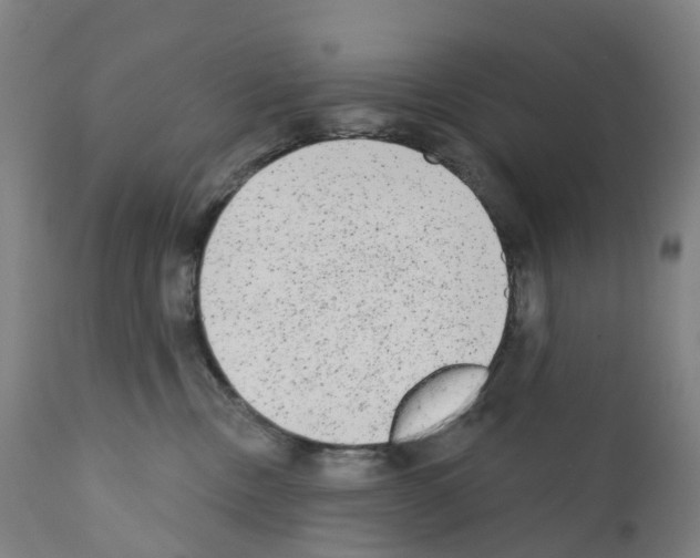X0000110960378200907311112
