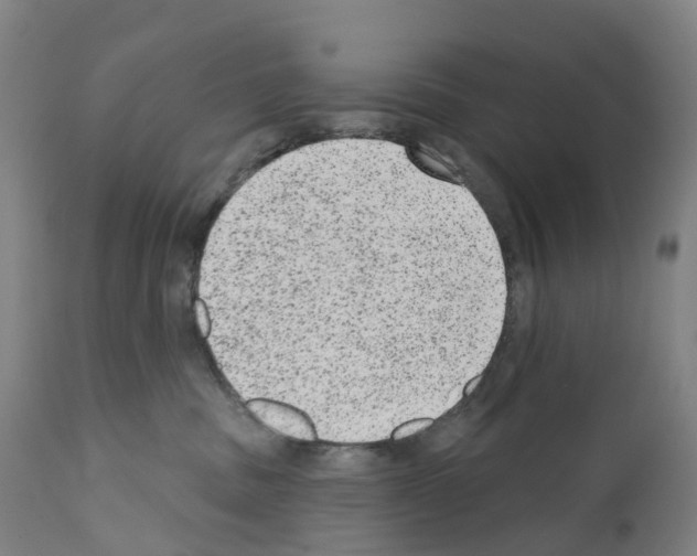 X0000110960379200907311112