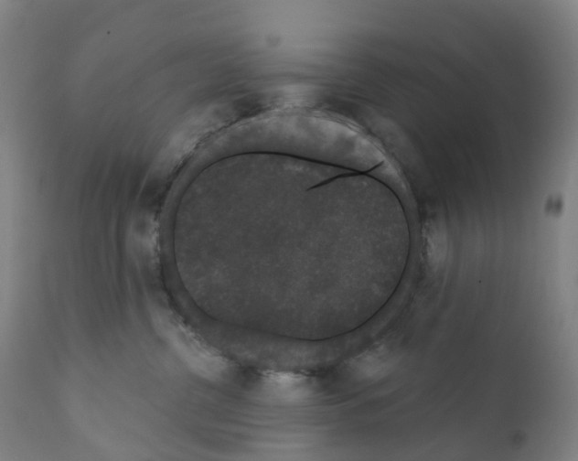 X0000110960380200907311112